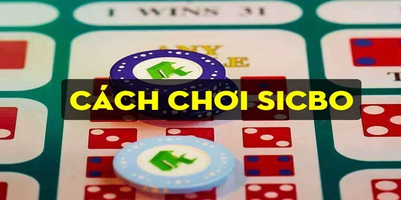 Cách chơi Sicbo đúng chuẩn không khó