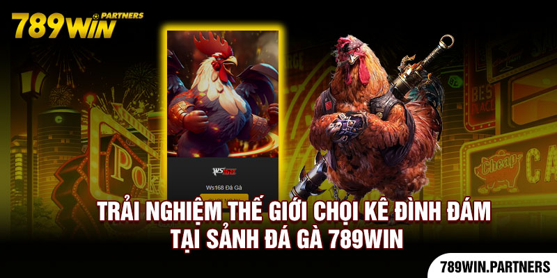 Trải nghiệm thế giới chọi kê đình đám tại sảnh đá gà 789Win